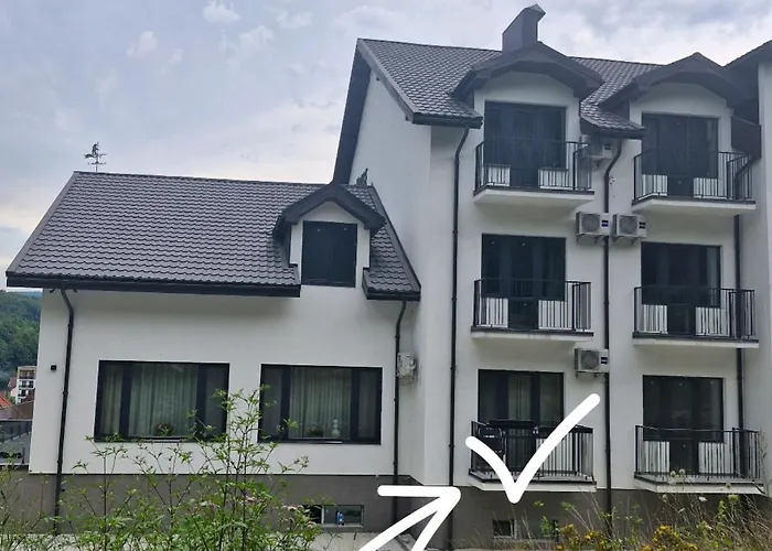 Forest Dream By шляпа * 波利亚纳